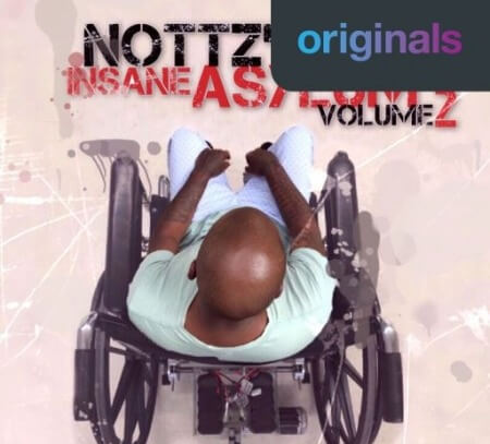 Nottz's Insane Asylum Volume 2 WAV